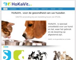 webdesign-groningen-hokavit