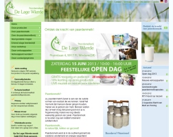 webdesign-groningen-lagewie
